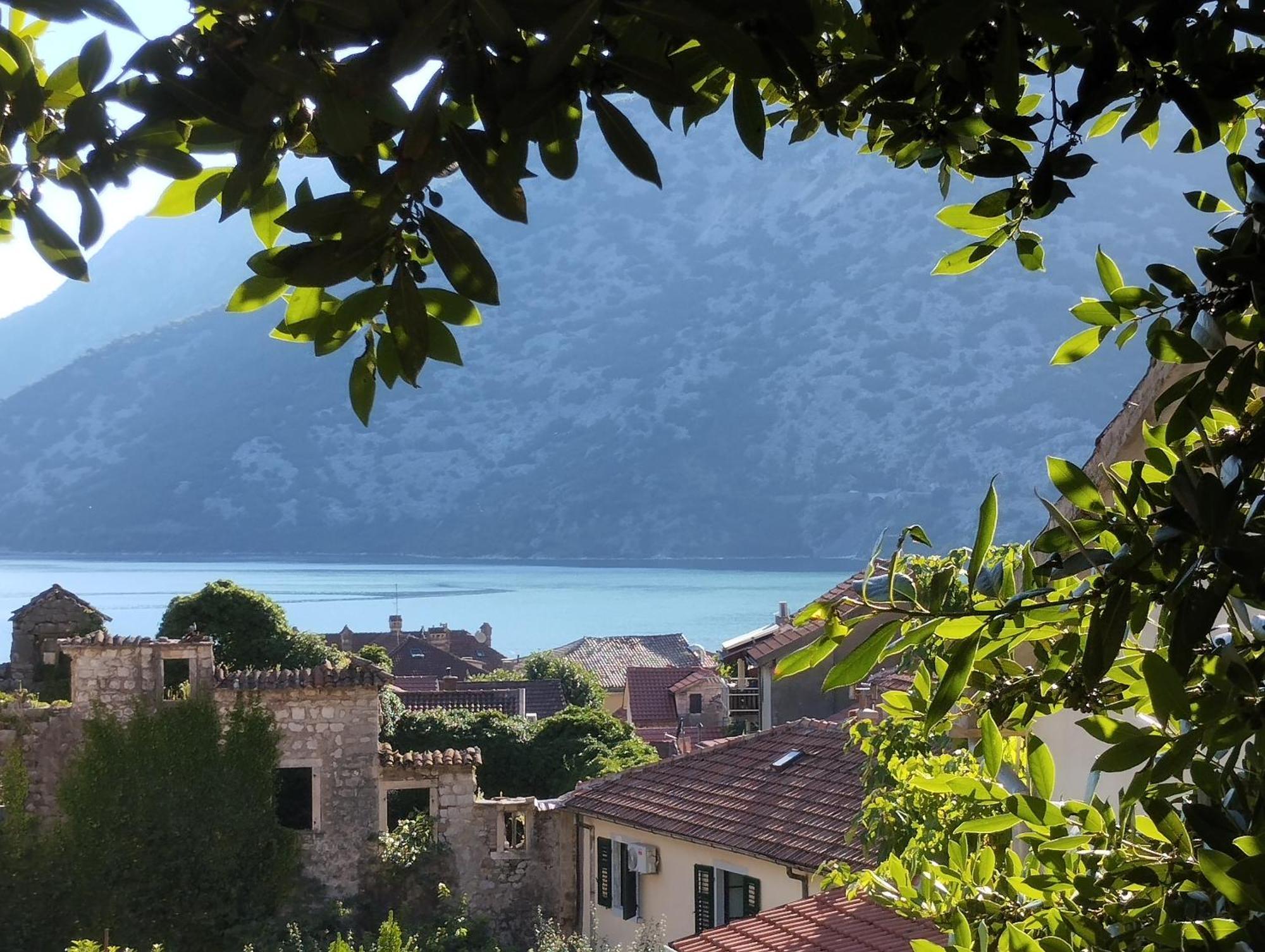Apartment Montenegro Cuckovic